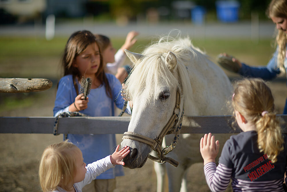 Familienurlaub auf dem Ferienhof in Bayern